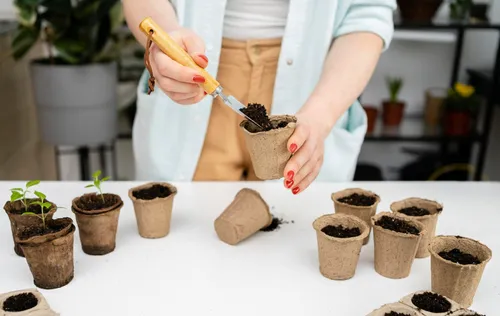 Best organic vegan fertilisers for potted edible plants to buy: all-purpose plant food for your fruit & vegetable garden